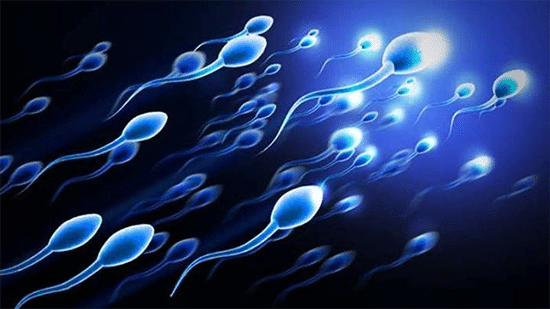 Kualitas Sperma Menurun
