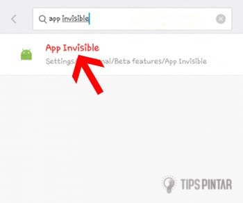 App Invisible
