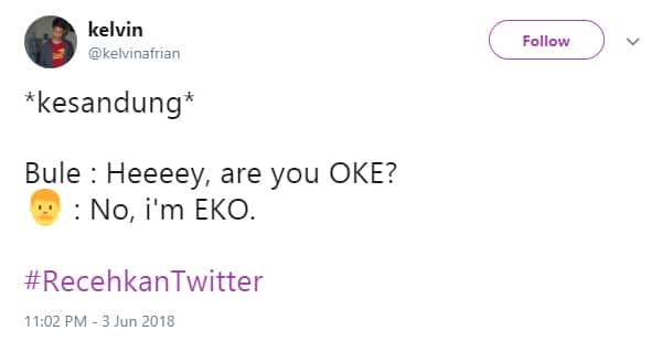 Saya Eko