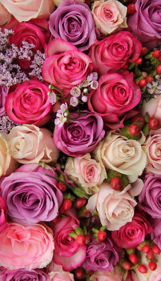Download 57 Background Untuk Bunga Mawar Paling Keren