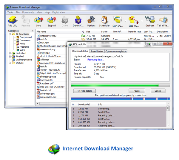 Menggunakan Internet Download Manager