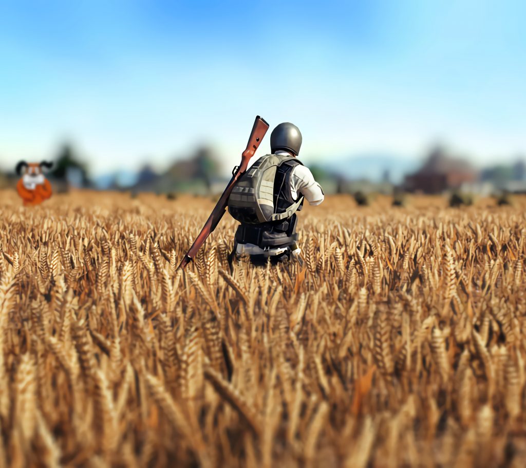 PUBG Wheatfield