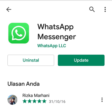 WhatsApp Tidak Bisa Video Call
