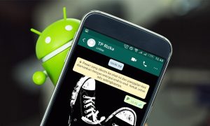 Cara Sembunyikan Status Online dan Typing WA