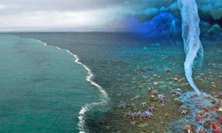 fenomena-laut-menakjubkan-feature-image