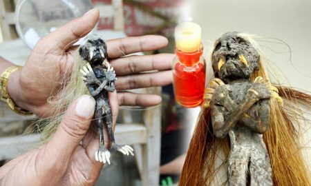 Hasil DNA Jenglot Sebenarnya