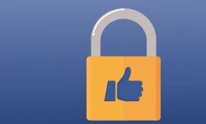 email fb lupa