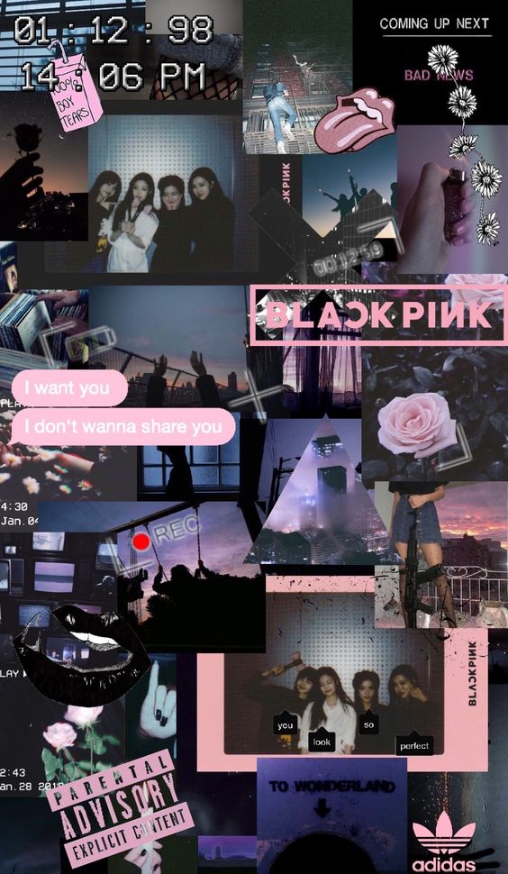 Blackpink Collection