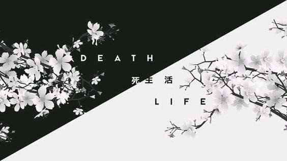 Death Life