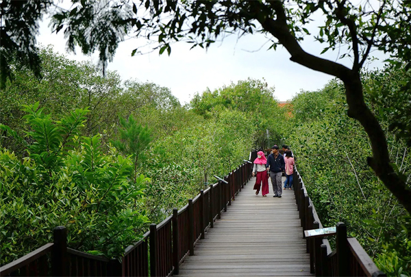 Kawasan Hutan Mangrove Wonorejo