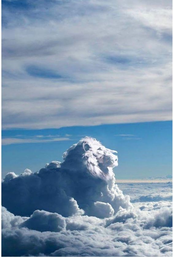 Lion Cloud
