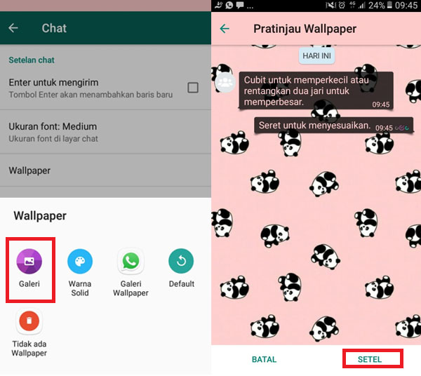cara-mengganti-tema-whatsapp-menjadi-tema-panda