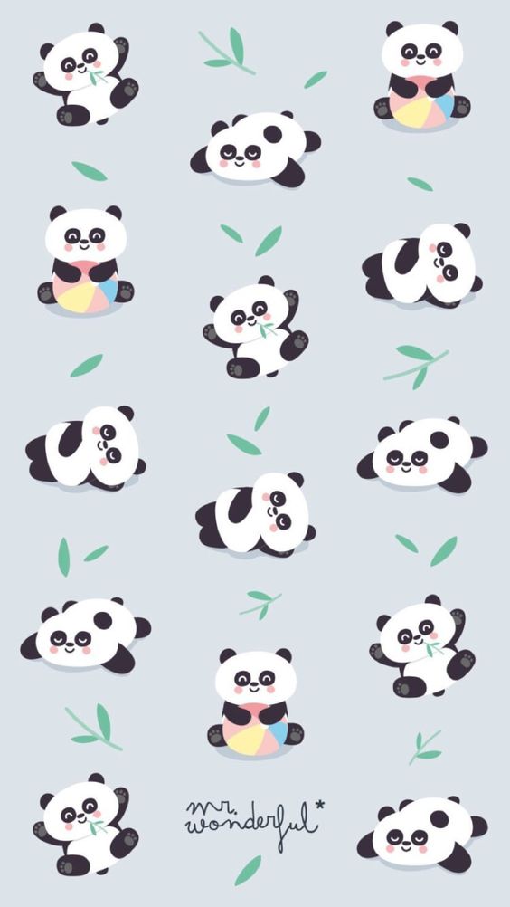 Baby Panda Playing
