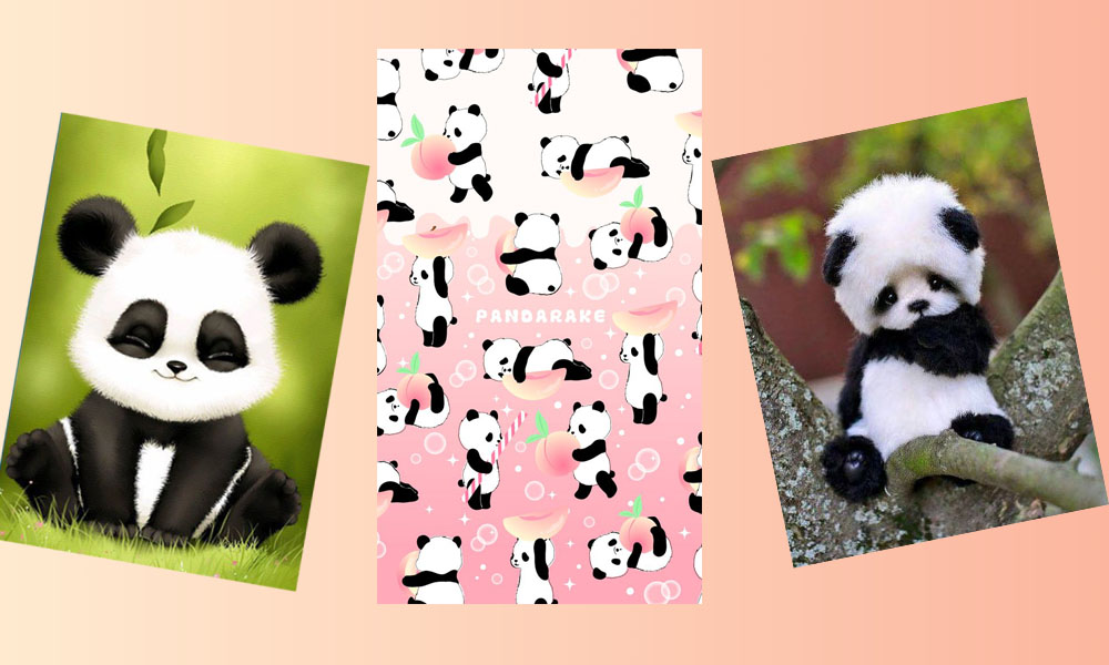 100+ Wallpaper Panda Lucu Paling Menggemaskan