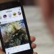 Negara dengan Pengguna Instagram Terbanyak di Dunia