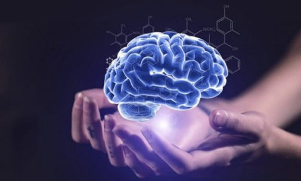 Hal yang Bisa Merusak Kesehatan Otak