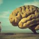 Mitos Tentang Otak Manusia