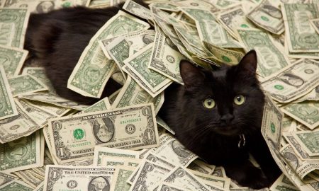 Kucing Paling Mahal di Dunia