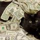 Kucing Paling Mahal di Dunia