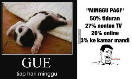 Meme Tentang Hari Minggu