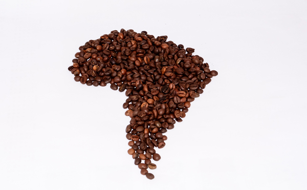 Negara Penghasil Biji Kopi Terbesar di Dunia