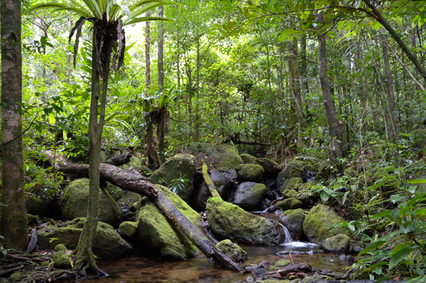 Taman Nasional Paling Seram di Dunia