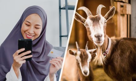 Tips Membeli Hewan Qurban Secara Online