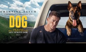 Fin Dog Banner