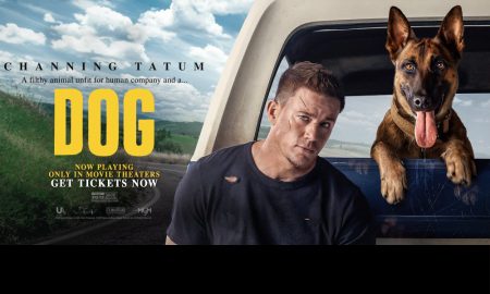 Fin Dog Banner