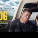 Fin Dog Banner