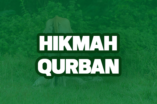 Hikmah Qurban