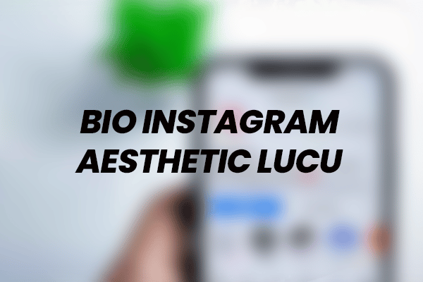 Bio Instagram Aesthetic Lucu