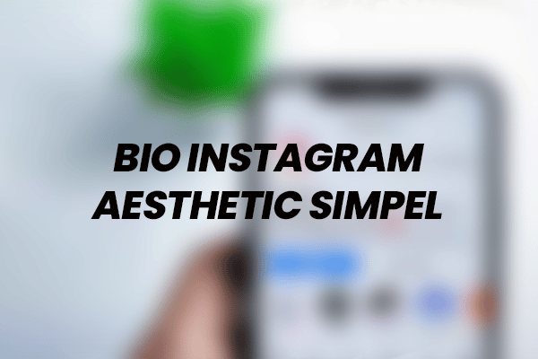 Bio Instagram Aesthetic Simpel