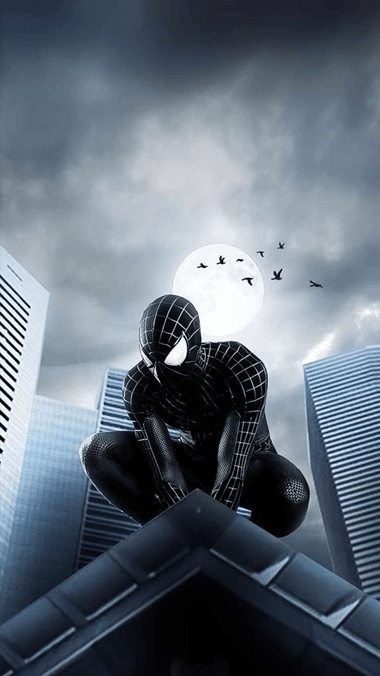 Black Spider