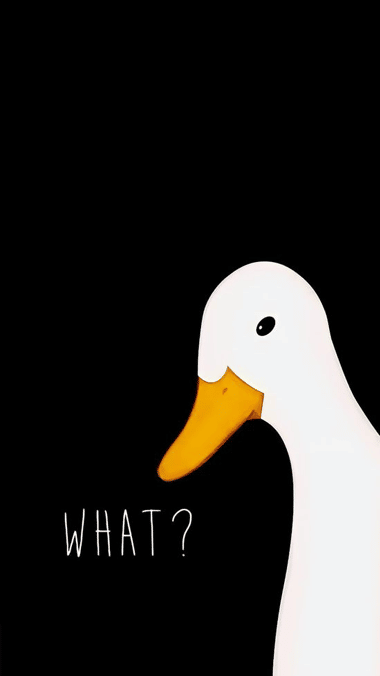 Duck - What