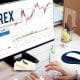Penghasilan Trader Forex Pemula