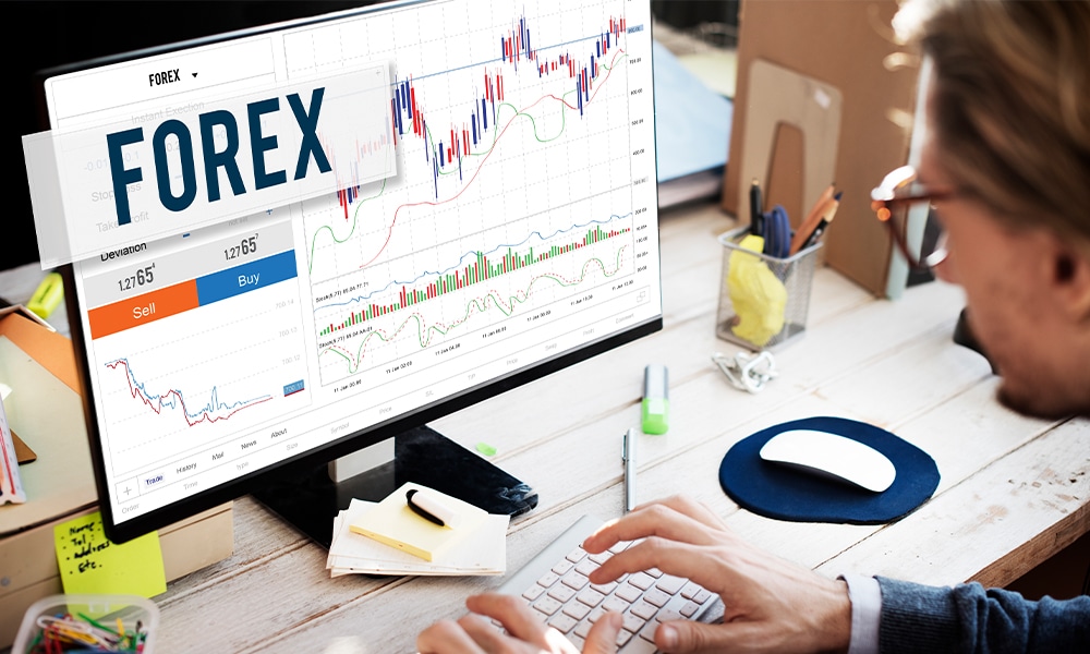 Penghasilan Trader Forex Pemula