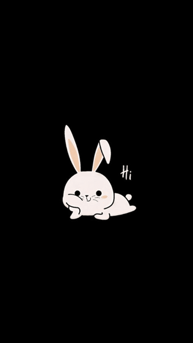 Rabbit - Hi