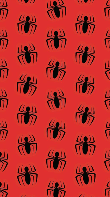 Spider Wallpaper