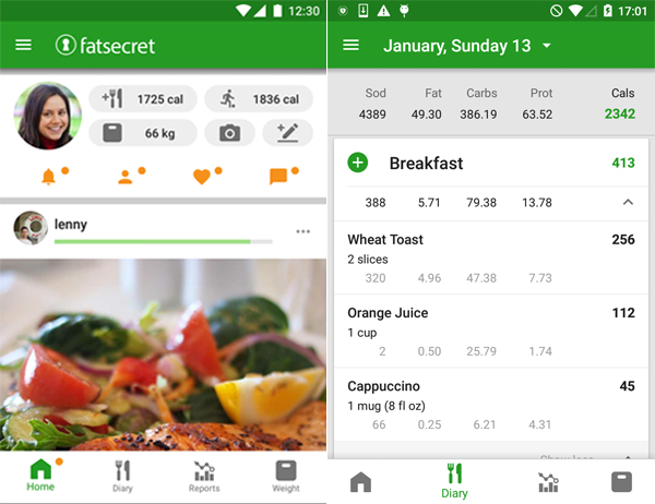 Aplikasi untuk Menghitung Kalori Makanan