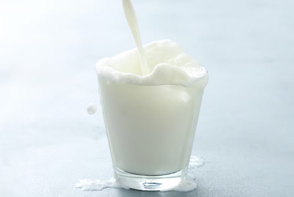 Makanan Tinggi Protein untuk Diet