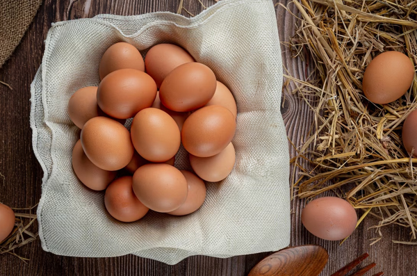 Makanan Tinggi Protein untuk Diet