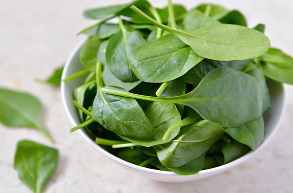 Makanan Tinggi Protein untuk Diet
