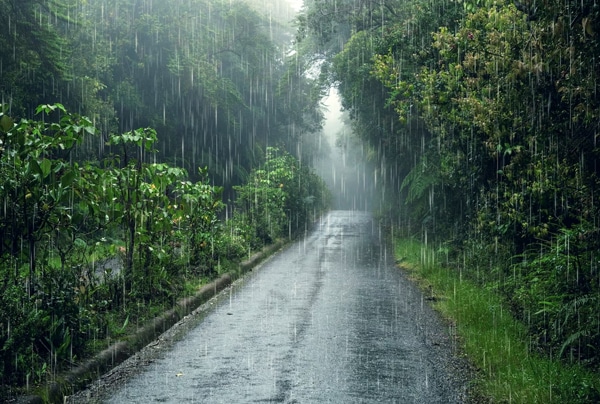Cara Mengatasi Masalah Jaringan