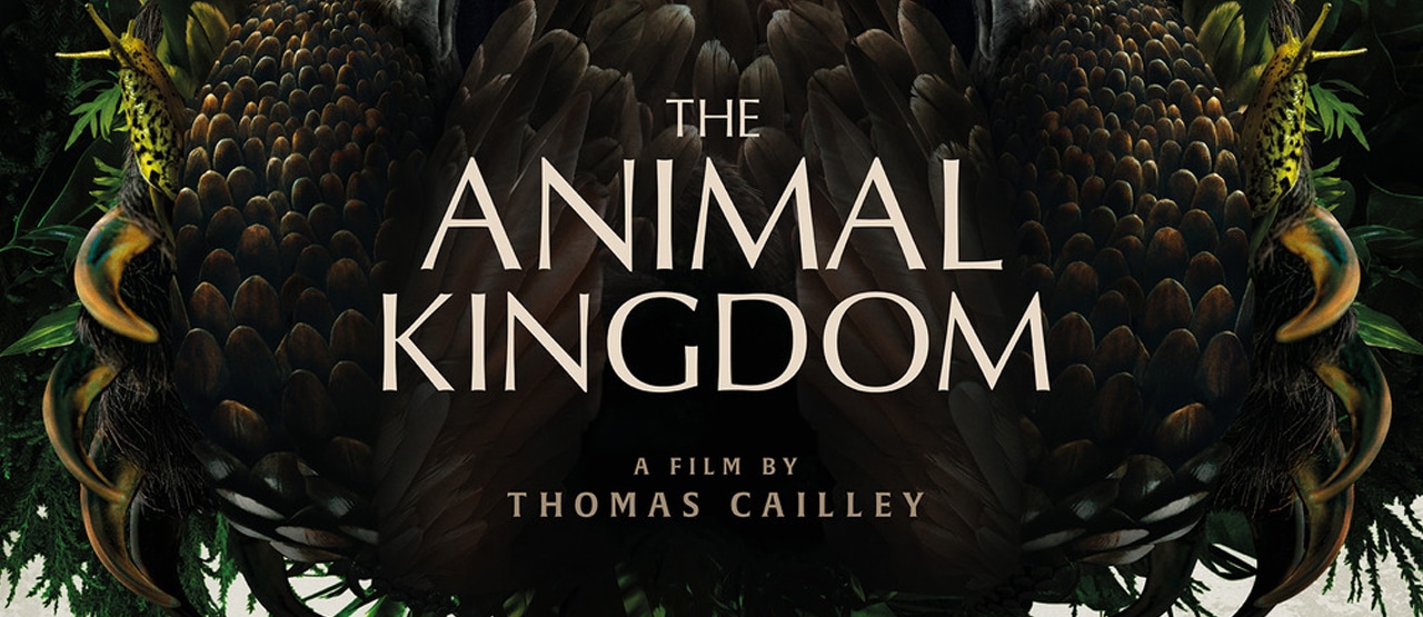 Banner Animal Kingdom