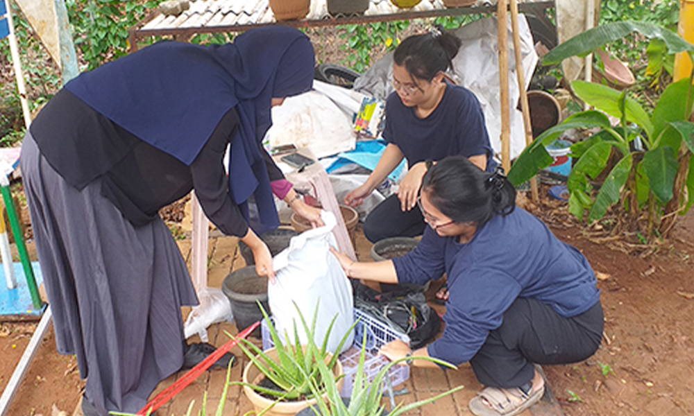 Mahasiswa Budi Luhur Ciptakan Keharmonisan Lingkungan Lewat Pembangunan Rumah Bibit di RPTRA Bhineka