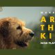 Banner Arthur the King