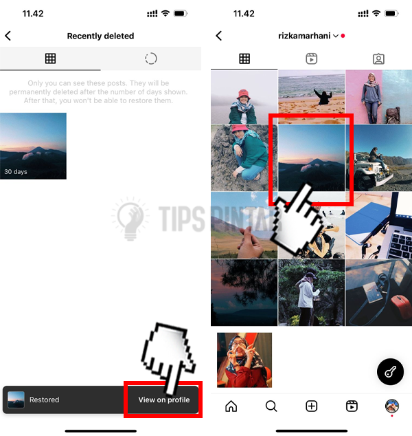 Cara Memulihkan Postingan Instagram Terhapus