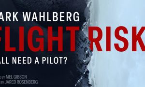 Banner Flight Risk