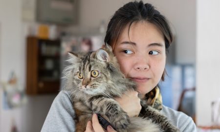 Cara Melatih Kucing agar Jadi Penurut (1)